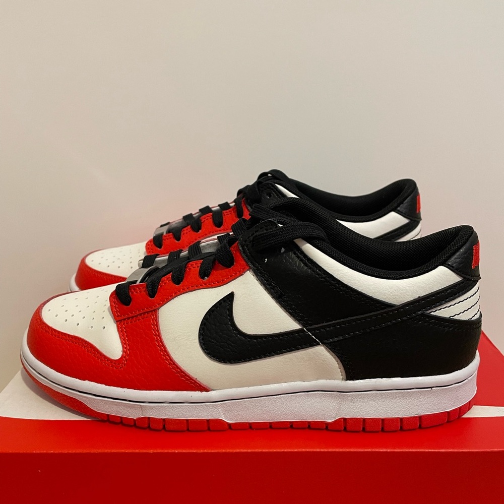 Nike dunk low NBA